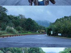 -习家池