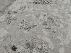 -万尾金滩