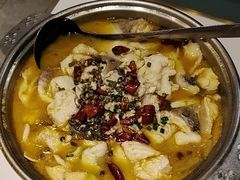 -刘胖子家常菜·蹄花焖藕(中南店)