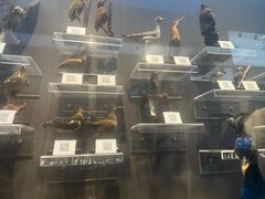 -北京大学赛克勒考古与艺术博物馆