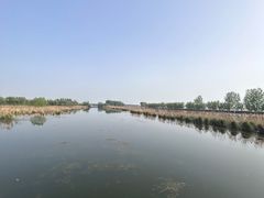 -微山湖红荷湿地景区