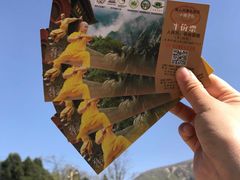 -嵩山少林文化旅游景区