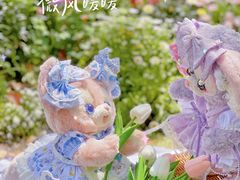 -上海共青森林公园