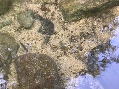 -碓臼峪自然风景区