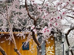 -春风习习
