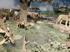 -国家自然博物馆