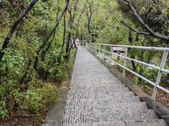 -云丘山景区