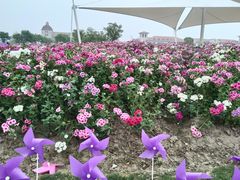 -歌斐颂巧克力小镇