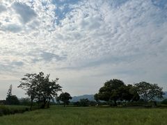 -良渚古城遗址公园