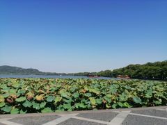 -楼外楼(西湖景区孤山路店)