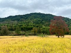 -塔川景区