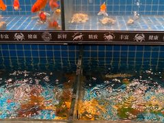 -德尚煌·顺德菜(誉山悠方天地店)
