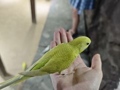 -嘉兴海底世界