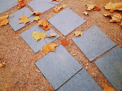 -天津东丽湖风景区