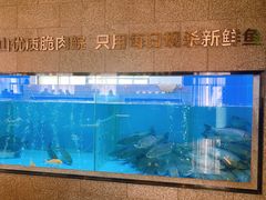 -淘米捞·米汤脆鲩鱼火锅(福田皇岗店)
