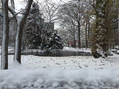 -北海道厅旧本厅舍(旧本庁舎)