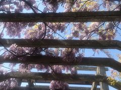-缥缈峰景区