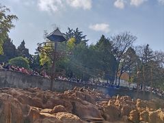 -昆明动物园