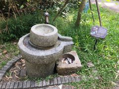 -金山植物公园