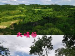 -塞罕坝国家级自然保护区