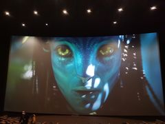 -金逸影城(影视中心IMAX店)