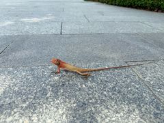 -云溪植物园