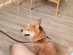 -一叶觅山(半边街店)