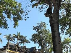 -西双版纳傣族园