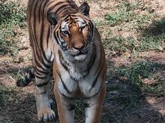 -泉州海丝野生动物世界