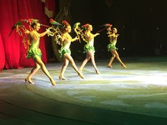 -珠海横琴长隆《卡卡虎奇遇记》