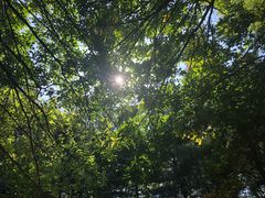 -大鹅岛绿色生态美食园