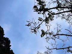 -遵义会议纪念馆