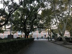 -同济大学（四平路校区）-图书馆