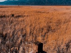 -野鸭湖国家湿地公园