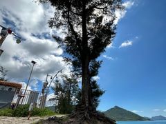 -西涌国际滨海旅游区