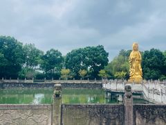 -报恩禅寺