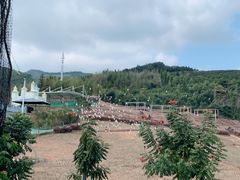 -瓷天下海丝谷