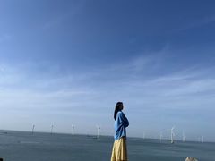 -长江澳风力发电景观区