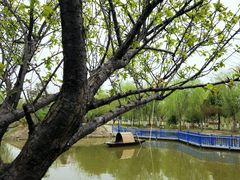 -大队长大灶鹅