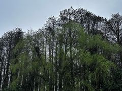 -采石矶景区