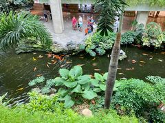 -白天鹅宾馆-宏图府餐厅