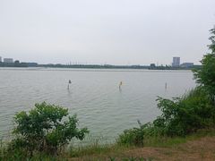 -金银湖国家城市湿地公园