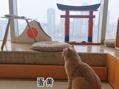 -Catmate·猫肥家润(金润铂宫店)