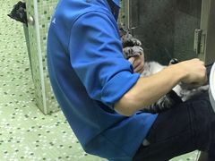-瑞鹏·疫苗·绝育·宠物医院(金沙洲店)