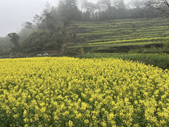 -杭州灵山景区
