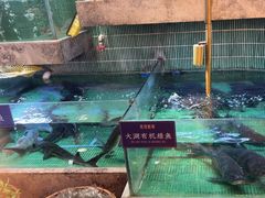 -鱼你相聚·河鲜馆(袁家岭店)