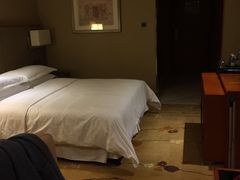 -成都天府丽都喜来登饭店