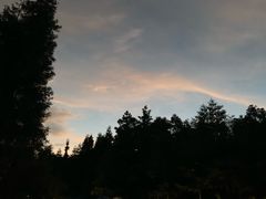 -武陵山森林公园