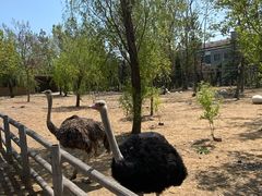 -大连森林动物园