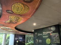 -热带雨林自然公园